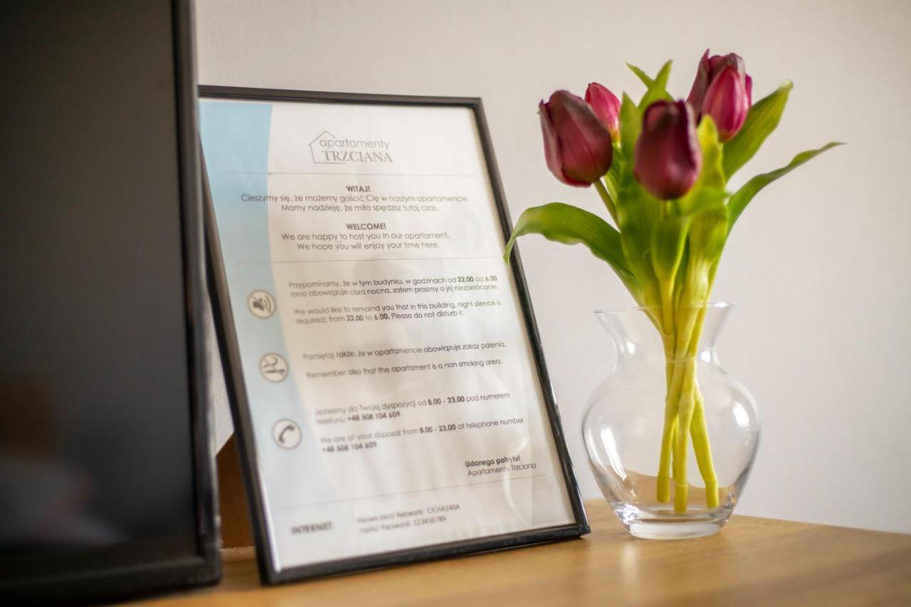 제수프 Apartament Cicha 아파트 외부 사진